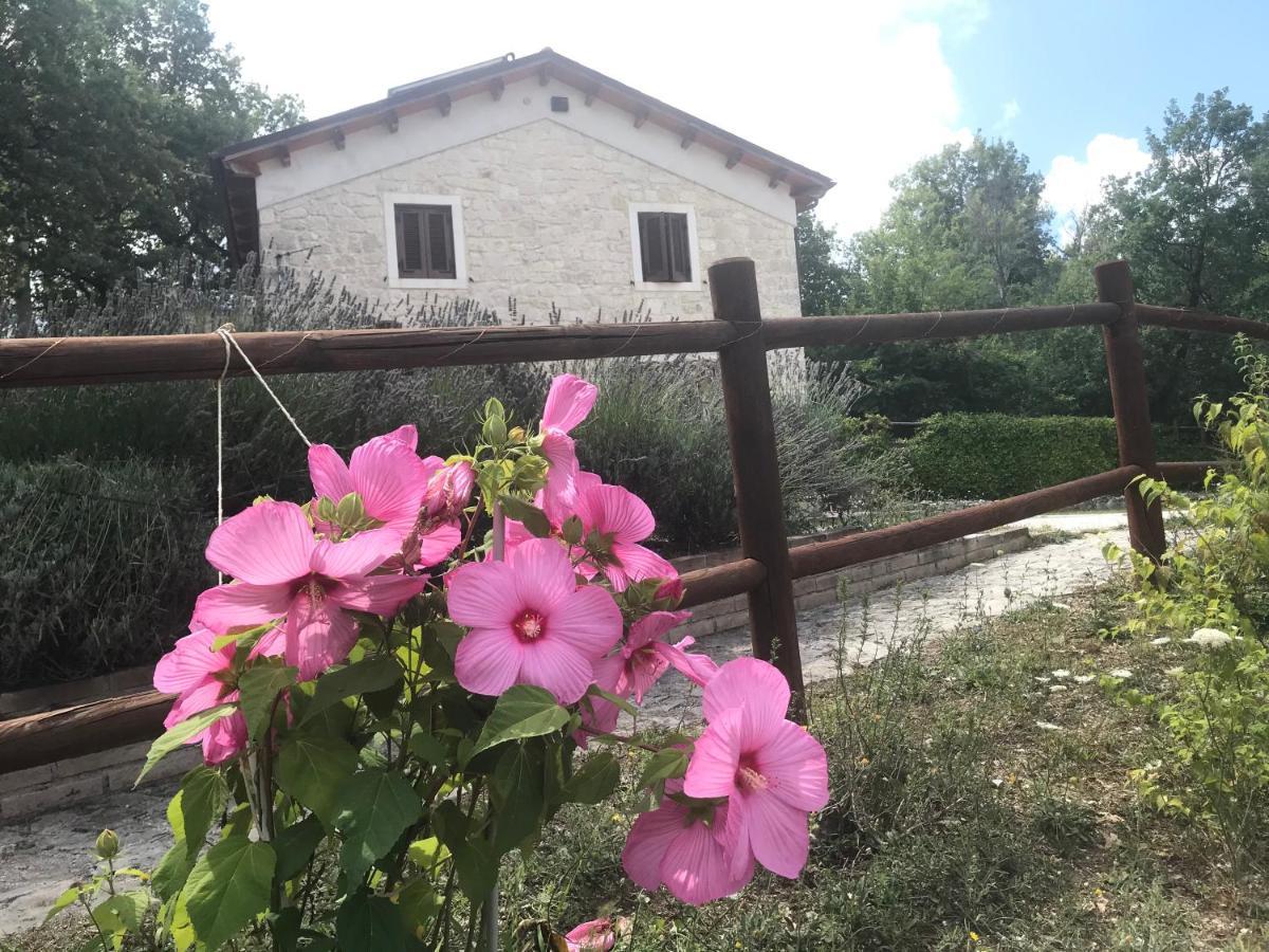 Country House Antiche Dimore Abbateggio Zewnętrze zdjęcie