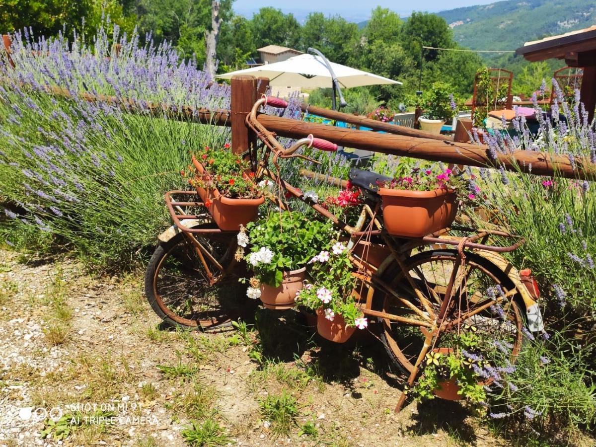 Country House Antiche Dimore Abbateggio Zewnętrze zdjęcie