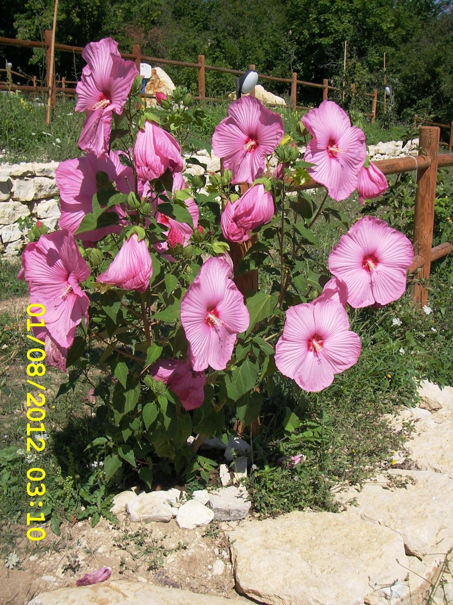 Country House Antiche Dimore Abbateggio Zewnętrze zdjęcie